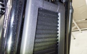 HARLEY FXLRST1920 2025