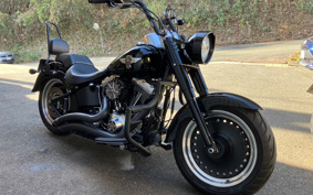 HARLEY HARLEY FLSTFB 2015 JN5