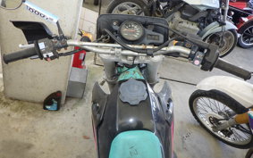 KAWASAKI KDX250SR DX250F