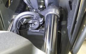 HONDA NX400 2024 NC65