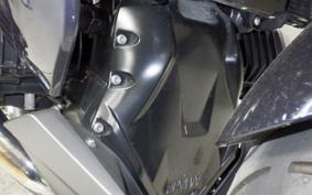 BMW R1250RS 2021