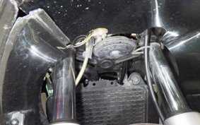 KAWASAKI ZZ-R250 2022 EX250H
