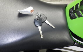 KAWASAKI NINJA 250 ABS 2026 EX250L