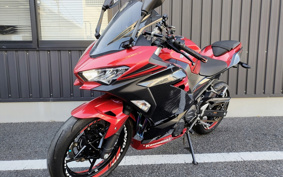 KAWASAKI NINJA 400 2019 EX400G