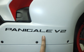 DUCATI PANIGALE V2 2020