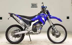 YAMAHA WR250R 2025 DG15J