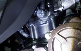 SUZUKI ｼﾞｸｻｰ250SF 2019