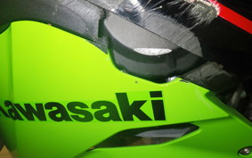 KAWASAKI ZX-25R 2007 ZX250E