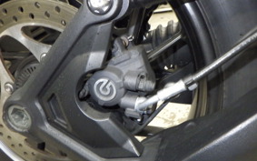 TRIUMPH TIGER1200GTEX 2024