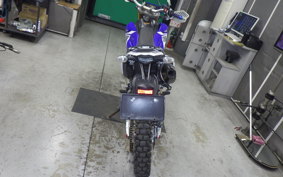 YAMAHA WR250R 2021 DG15J