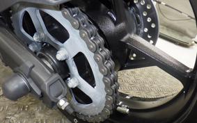 KAWASAKI ZX-4RR 2024 ZX400P