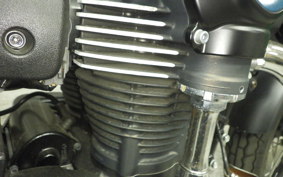 KAWASAKI W800 CAFE 2021 EJ800B