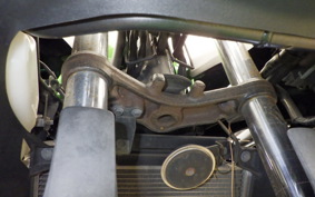 KAWASAKI NINJA 250 EX250L