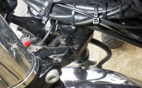 KAWASAKI W800 2017 EJ800A