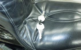 OTHER +UNREGISTERED MODEL by BDS1330 2000