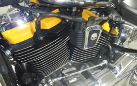 HARLEY FLSTFI1920 2025