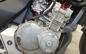 HONDA HORNET 250 MC31
