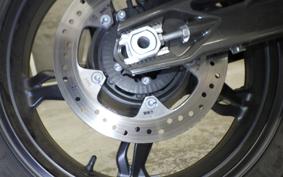 BMW G310R 2024