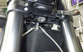 TRIUMPH STREET TRIPLE RS 2020
