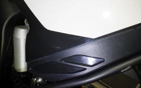 YAMAHA WR250X 2019 DG15J