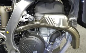 TRIUMPH TF250-X