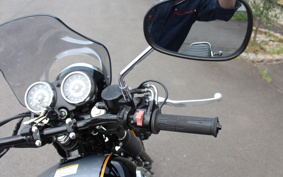 KAWASAKI W800 SPECIAL EDITION  2011 EJ800A