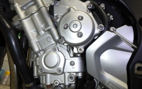 YAMAHA FZ1 FAZER 2011 RN21J