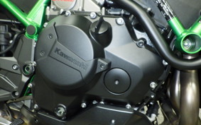 KAWASAKI ZH2 SE 2025 ZRT00R