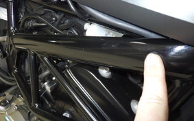 HUSQVARNA SVARTPILEN 250 2024