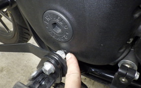 OTHER +ENFIELD ﾒﾃｵ350 2022