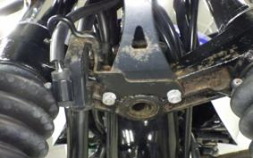 KAWASAKI W800 2019 EJ800B