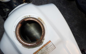 YAMAHA TW200 Gen.2 1995 DG07J