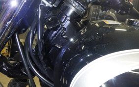 KAWASAKI W800 2013 EJ800A