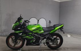 KAWASAKI NINJA150RR KR150P