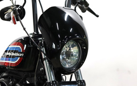 HARLEY XL1200NS 2021 LP3