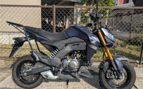 KAWASAKI Z125 PRO BR125H