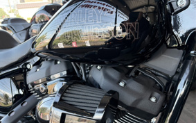 HARLEY FXLRS 2022 YWZ