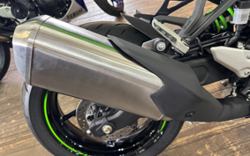 KAWASAKI NINJA ZX-4RR KRT ED 2025