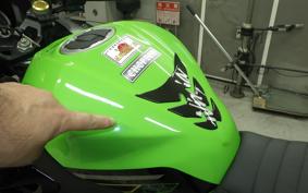 KAWASAKI NINJA 250 2 EX250P