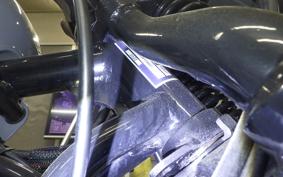 OTHER +UNREGISTERED MODEL by BDS250 2015