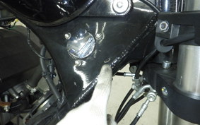 OTHER +DAYTONA125 2006