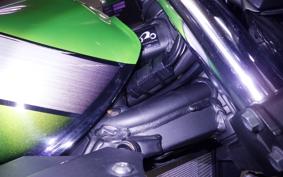 KAWASAKI ZRX1200 D 2010 ZRT20D