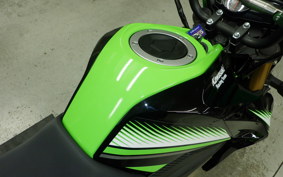 KAWASAKI Z125 PRO 2007 BR125H