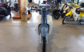 HONDA  SUPER CUB 50 FINAL ED AA09