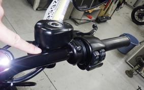 HARLEY XL883N 2021