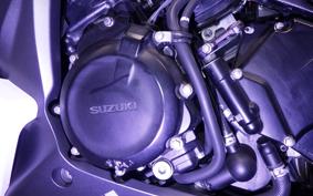 SUZUKI GSX-S1000F 2017