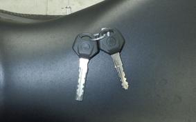 YAMAHA YZF-R25 A RG74J