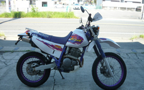 YAMAHA TT250RRAID 4GY