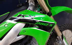 KAWASAKI KX250X