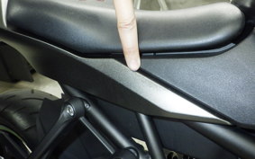 KAWASAKI ZX-4R SE 2024 ZX400P